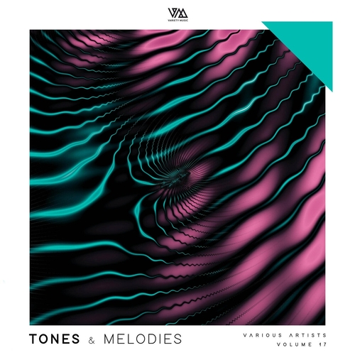 VA - Tones & Melodies Vol. 17 [VMCOMP1055]